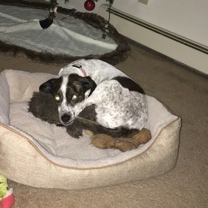 Meet your Posher, Shaina